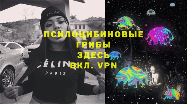 PSILOCYBIN Лихославль