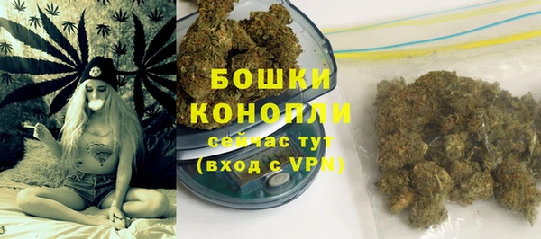 прущие грибы Магас