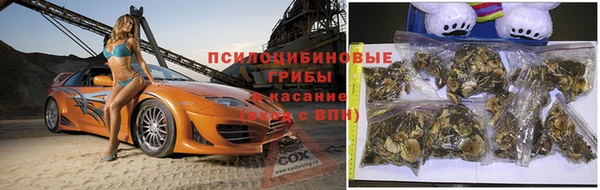 гидропоника Липки