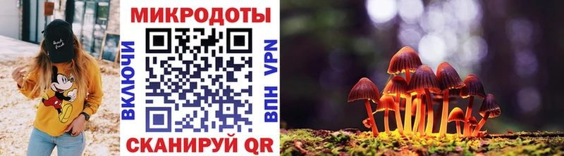 Псилоцибиновые грибы Cubensis  Суоярви 